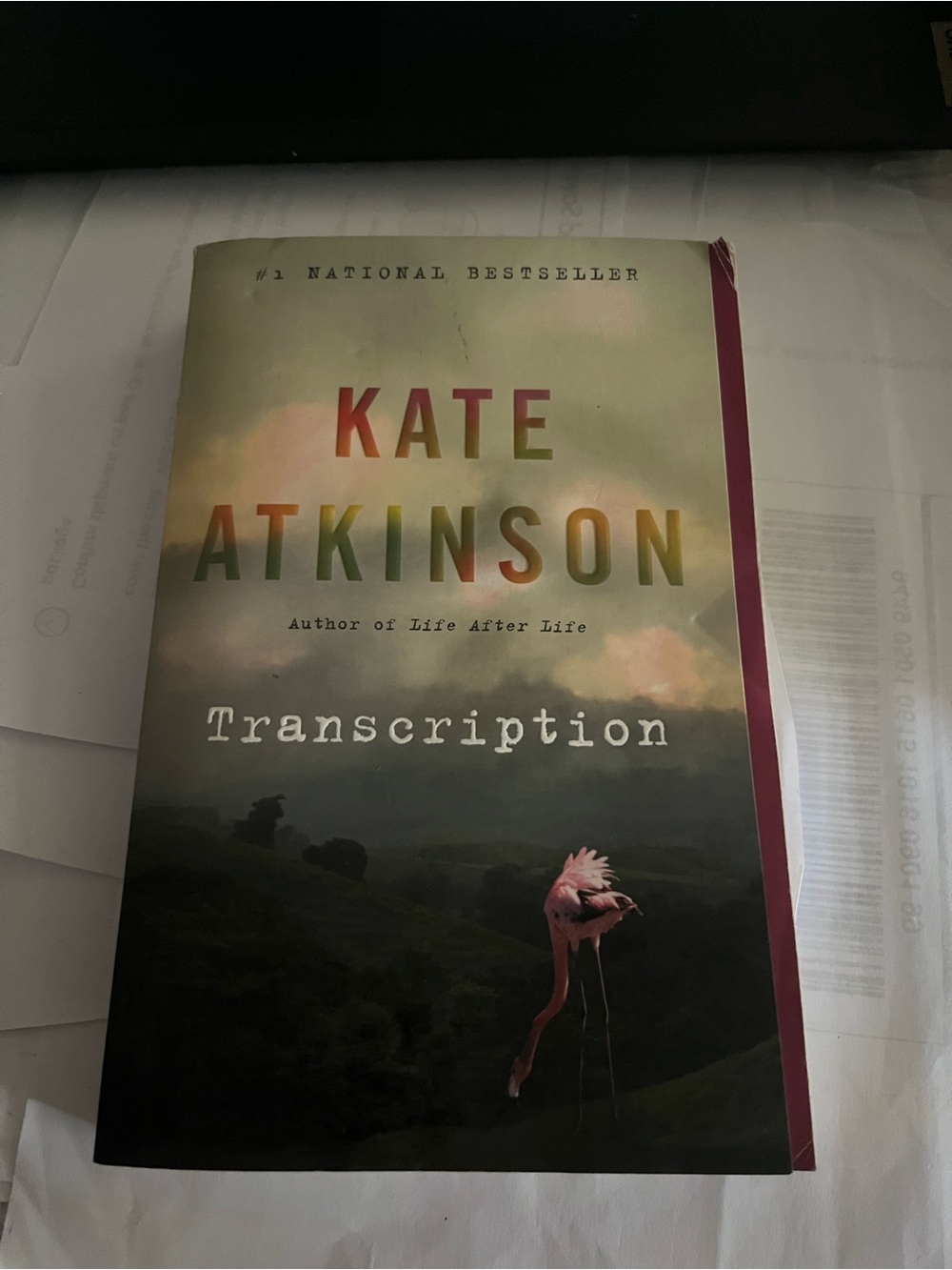 Transcription - Paperback Book in Green and Pink Cover